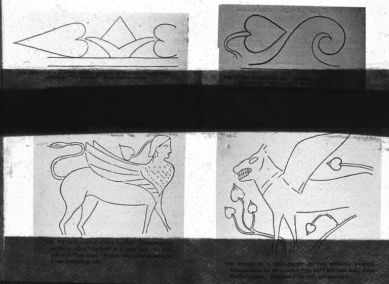 Brooklyn Museum: Visual materials [6.1.022]: Lotus.