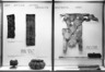 Primitive Gallery (installation)
