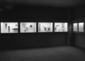Fellowship Exhibition, Oceanic Gallery