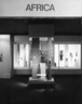 Brooklyn Museum: African Gallery (installation)