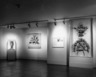 New Guinea Feather Headdresses (installation)