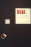 Brooklyn Museum: Working in Brooklyn: Artists Books
