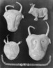 Brooklyn Museum: Exhibition of Persian Art