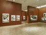 Brooklyn Museum: Tigers of Wrath: Watercolors by Walton Ford