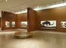 Brooklyn Museum: Tigers of Wrath: Watercolors by Walton Ford