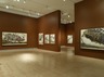Brooklyn Museum: Tigers of Wrath: Watercolors by Walton Ford