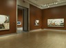 Brooklyn Museum: Tigers of Wrath: Watercolors by Walton Ford