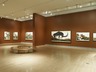 Brooklyn Museum: Tigers of Wrath: Watercolors by Walton Ford