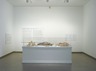 Brooklyn Museum: Ron Mueck