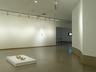 Brooklyn Museum: Ron Mueck