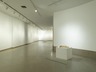 Brooklyn Museum: Ron Mueck