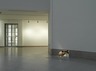 Brooklyn Museum: Ron Mueck