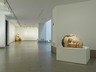 Brooklyn Museum: Ron Mueck