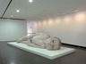 Brooklyn Museum: Ron Mueck