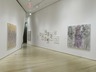 Brooklyn Museum: Ghada Amer: Love Has No End