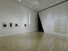 Brooklyn Museum: Ghada Amer: Love Has No End