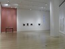 Brooklyn Museum: Ghada Amer: Love Has No End