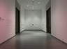Hernan Bas: Works from the Rubell Family Collection
