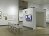William Wegman: Funney/Strange