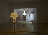 Matthew Buckingham: The Spirit and the Letter