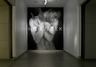 HIDE/SEEK: Difference and Desire in American Portraiture