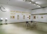 Split Second: Indian Paintings