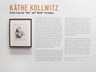 K&Atilde;&curren;the Kollwitz: Prints from the 