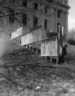 Brooklyn Museum: Artyard: Artists in Residence