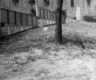 Brooklyn Museum: Artyard: Artists in Residence
