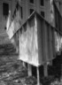 Brooklyn Museum: Artyard: Artists in Residence