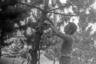 Brooklyn Museum: Artyard: Artists in Residence