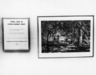 Brooklyn Museum: Fifteen Years of Award-winning Prints (AFA)