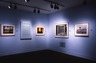 Brooklyn Museum: A Summer's Day: Photographs by Joel Meyerowitz