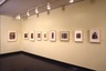 Brooklyn Museum: Curator's Choice: The Eight at The Brooklyn Museum