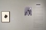 Consuelo Kanaga: An American Photographer