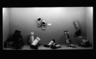 Brooklyn Museum: Top of the World: Arctic Lands in Human History