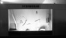 Brooklyn Museum: Top of the World: Arctic Lands in Human History