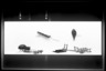 Brooklyn Museum: Top of the World: Arctic Lands in Human History