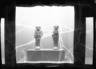 Glass & Glazes from Ancient Egypt