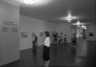 Brooklyn Museum: Contemporary Woodcut and Its Variations