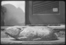 Brooklyn Museum: Folk Sculpture U.S.A