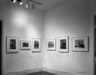 Brooklyn Museum: New York By Forss