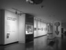 Curator