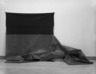 Brooklyn Museum: Contemporary Art (installation).