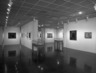 Brooklyn Museum: The Pictographs of Adolph Gottlieb