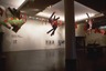Brooklyn Museum: Richard Smith: Kiteworks (Deerbrook Sequence)