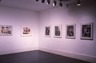 Brooklyn Museum: Lee Krasner: Works on Paper