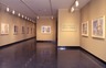Curator