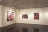 Brooklyn Museum: The Pictographs of Adolph Gottlieb