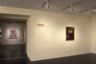 Brooklyn Museum: The Pictographs of Adolph Gottlieb